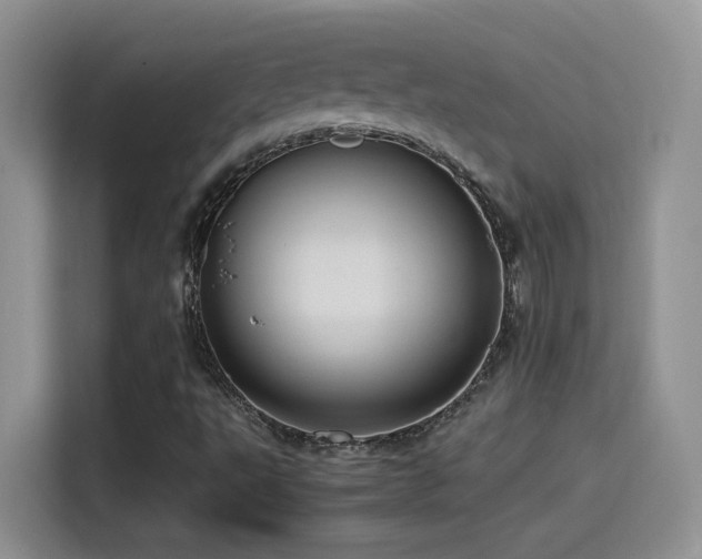 X0000115561495200911061542