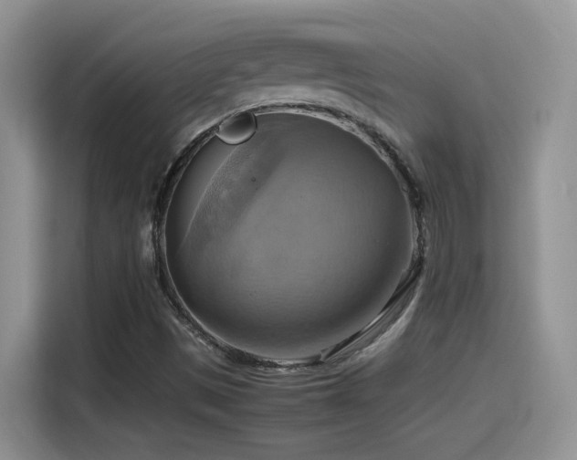 X0000115561497200911061542