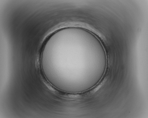 X0000115561498200911061542