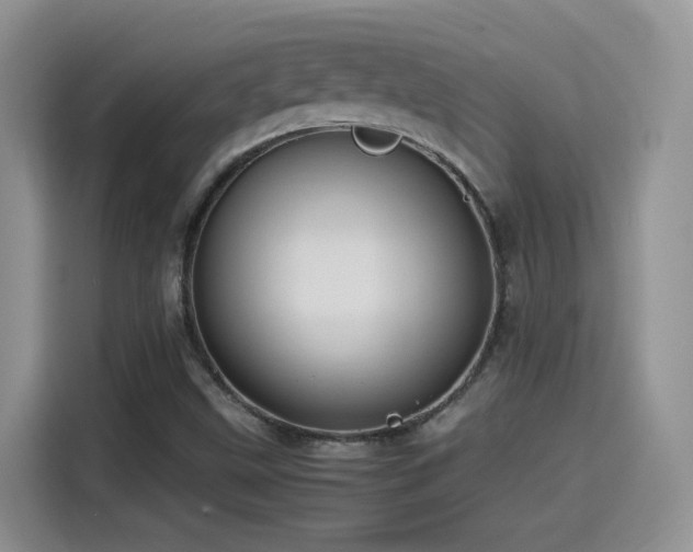 X0000115561499200911061542