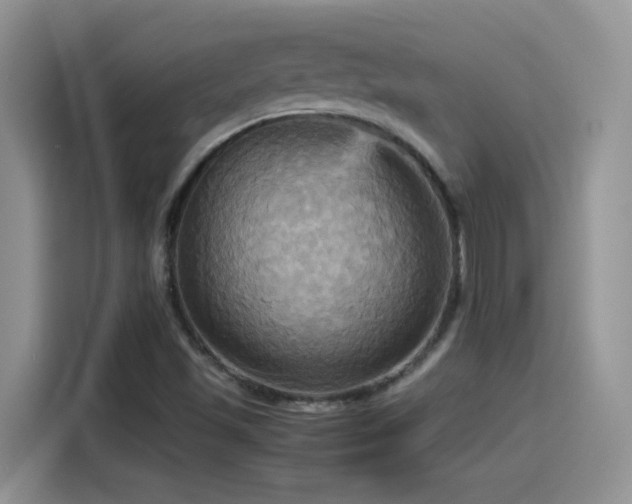 X0000115561501200911061542