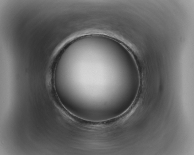 X0000115561502200911061542