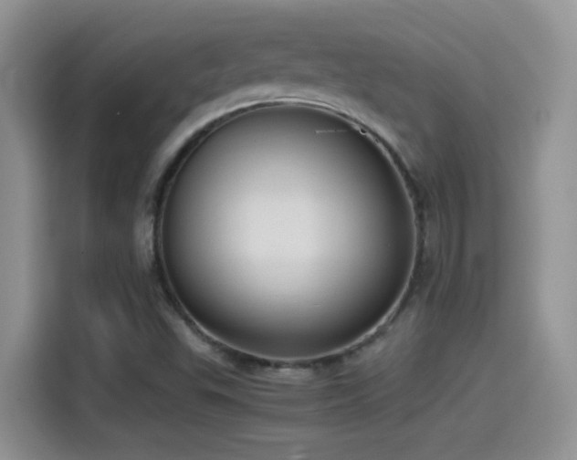 X0000115561503200911061543