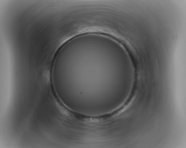X0000115561505200911061543