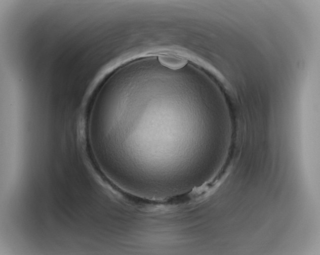 X0000115561506200911061543