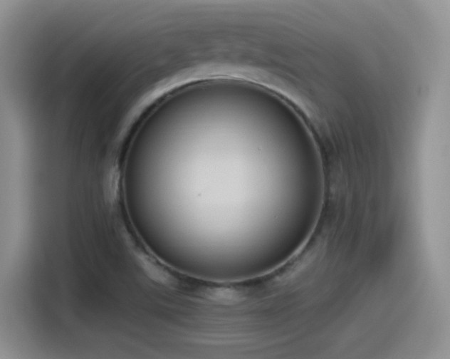 X0000115561507200911061543