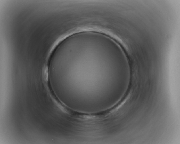 X0000115561509200911061543