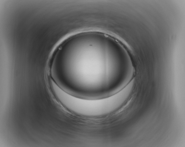 X0000115561510200911061543