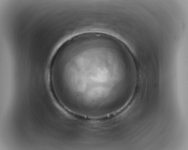 X0000115561511200911061543