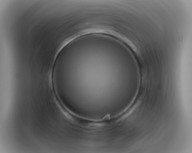 X0000115561513200911061543
