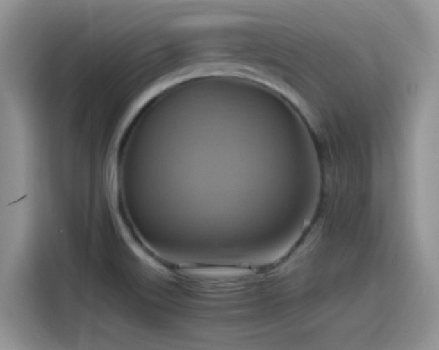 X0000115561515200911061543