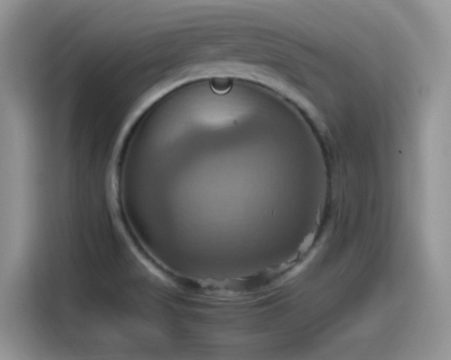 X0000115561517200911061543