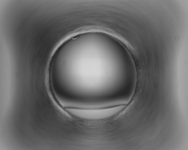 X0000115561518200911061543