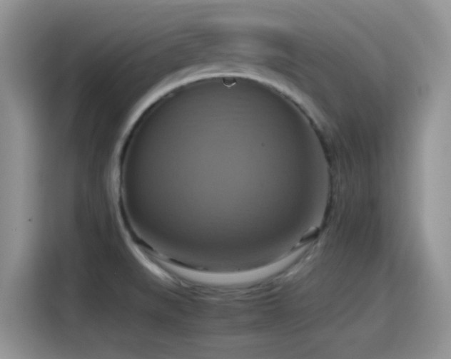 X0000115561519200911061543
