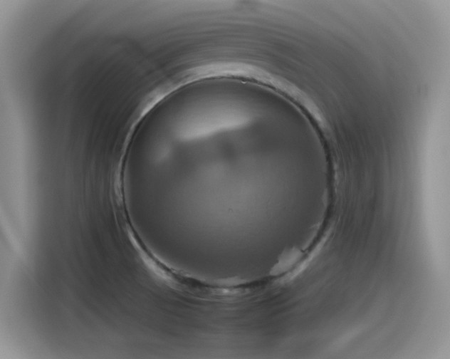 X0000115561521200911061543