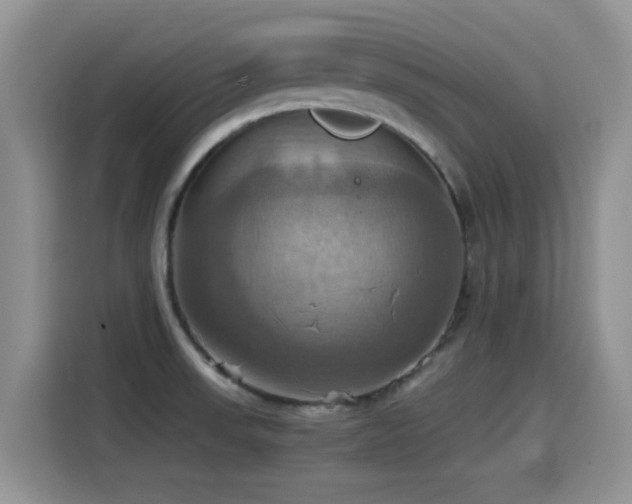 X0000115561523200911061543