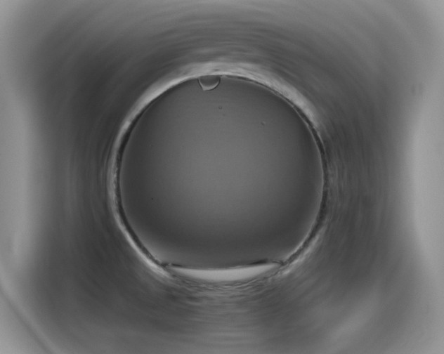 X0000115561525200911061543
