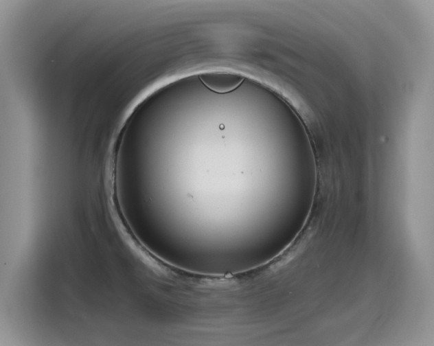 X0000115561526200911061543