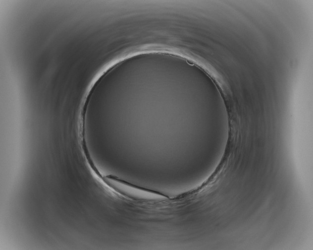 X0000115561527200911061543