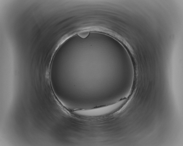 X0000115561529200911061543