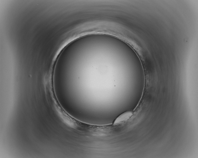 X0000115561530200911061543