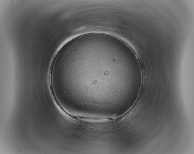 X0000115561531200911061543