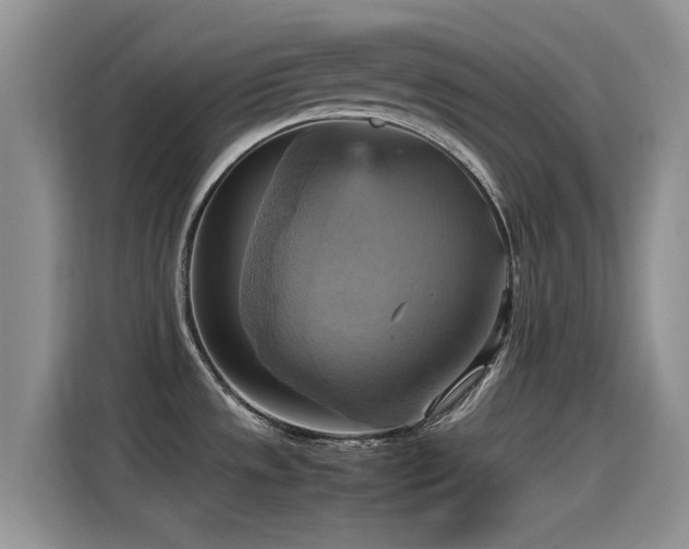 X0000115561533200911061543