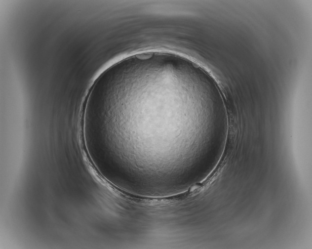 X0000115561534200911061543