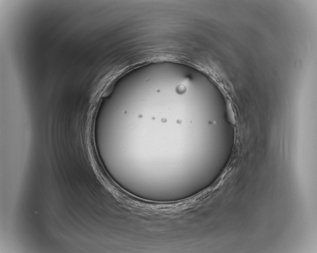 X0000115560001200911131636