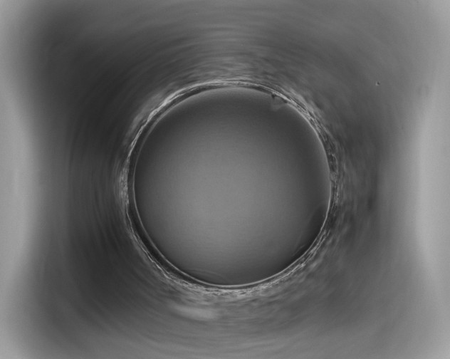 X0000115560002200911131636