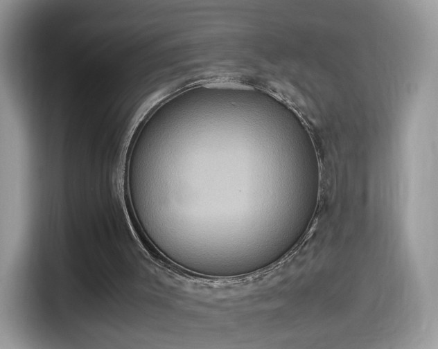 X0000115560003200911131636