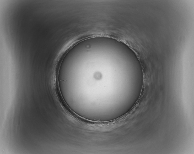 X0000115560005200911131636