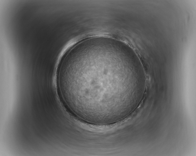 X0000115560006200911131636