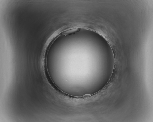 X0000115560007200911131636