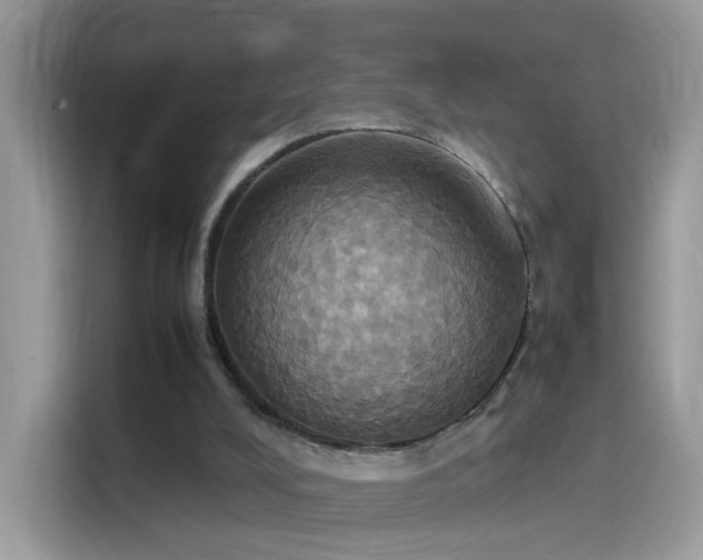 X0000115560008200911131636