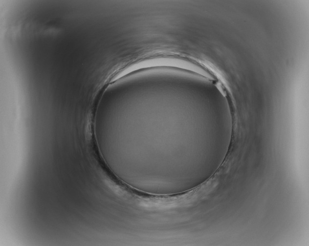 X0000115560009200911131636