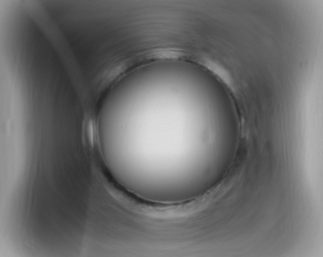 X0000115560013200911131636