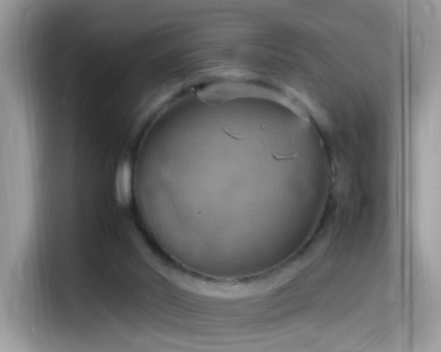 X0000115560014200911131636