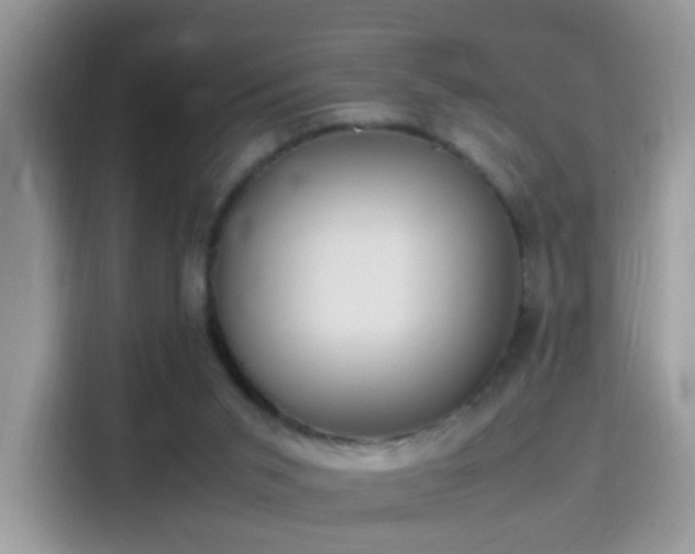 X0000115560015200911131636