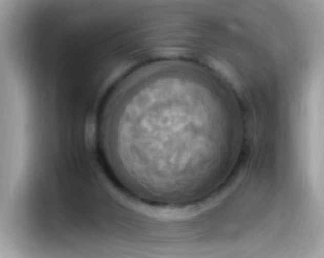 X0000115560016200911131636