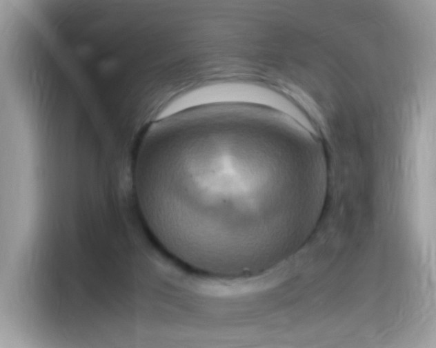 X0000115560017200911131636