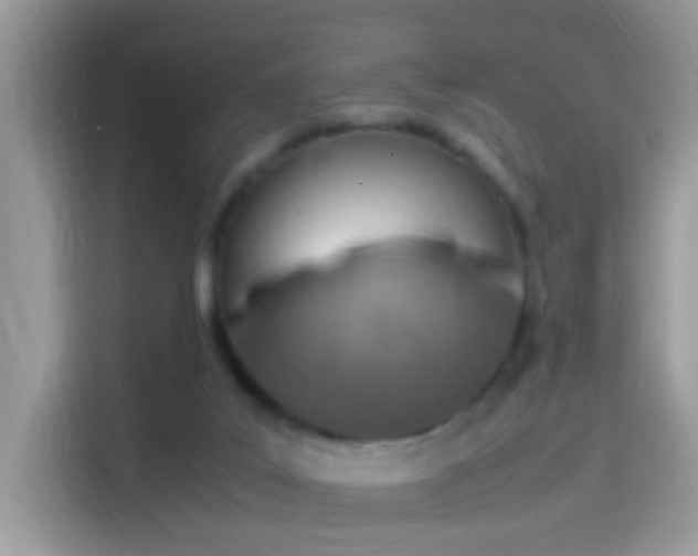 X0000115560019200911131636