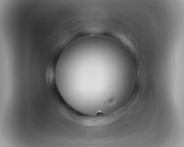 X0000115560021200911131636