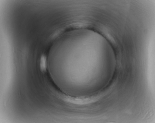 X0000115560022200911131636