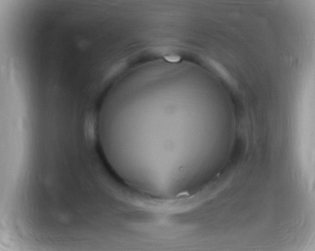 X0000115560023200911131636