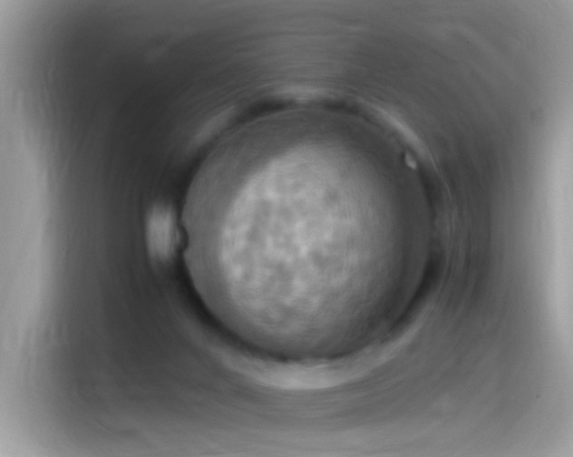 X0000115560024200911131636