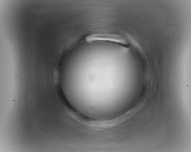 X0000115560025200911131636