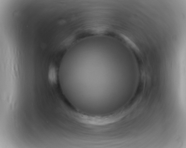 X0000115560026200911131636