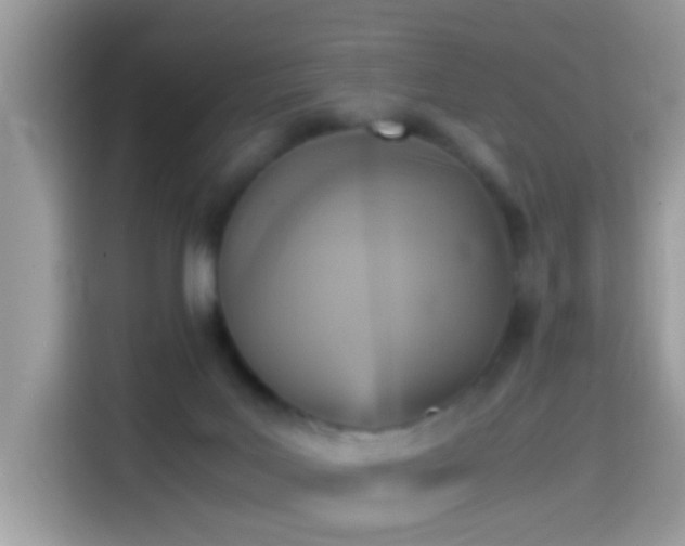 X0000115560027200911131636