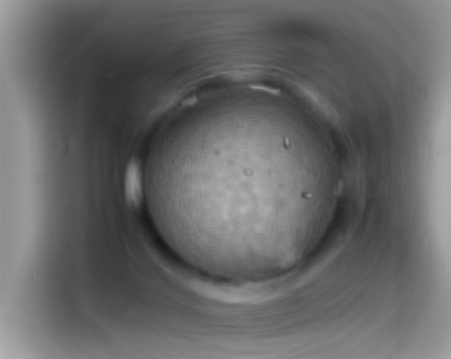 X0000115560028200911131636